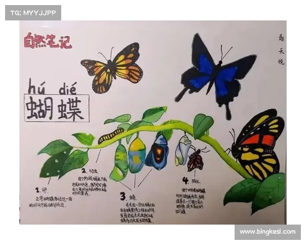 如何有效保护蝴蝶平原生态环境及其生物多样性提升策略 如何有效保护蝴蝶平原生态环境及其生物多样性提升策略